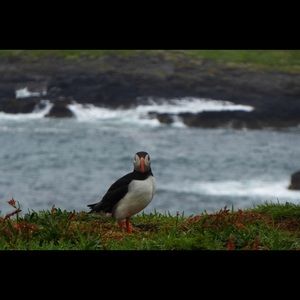 Meet your Posher, Aggie